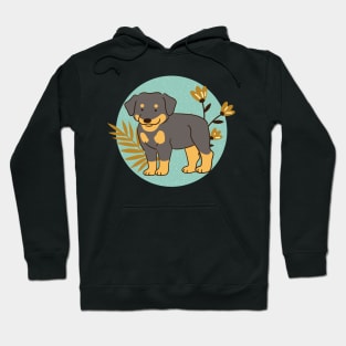 Rottweiler Puppy Hoodie